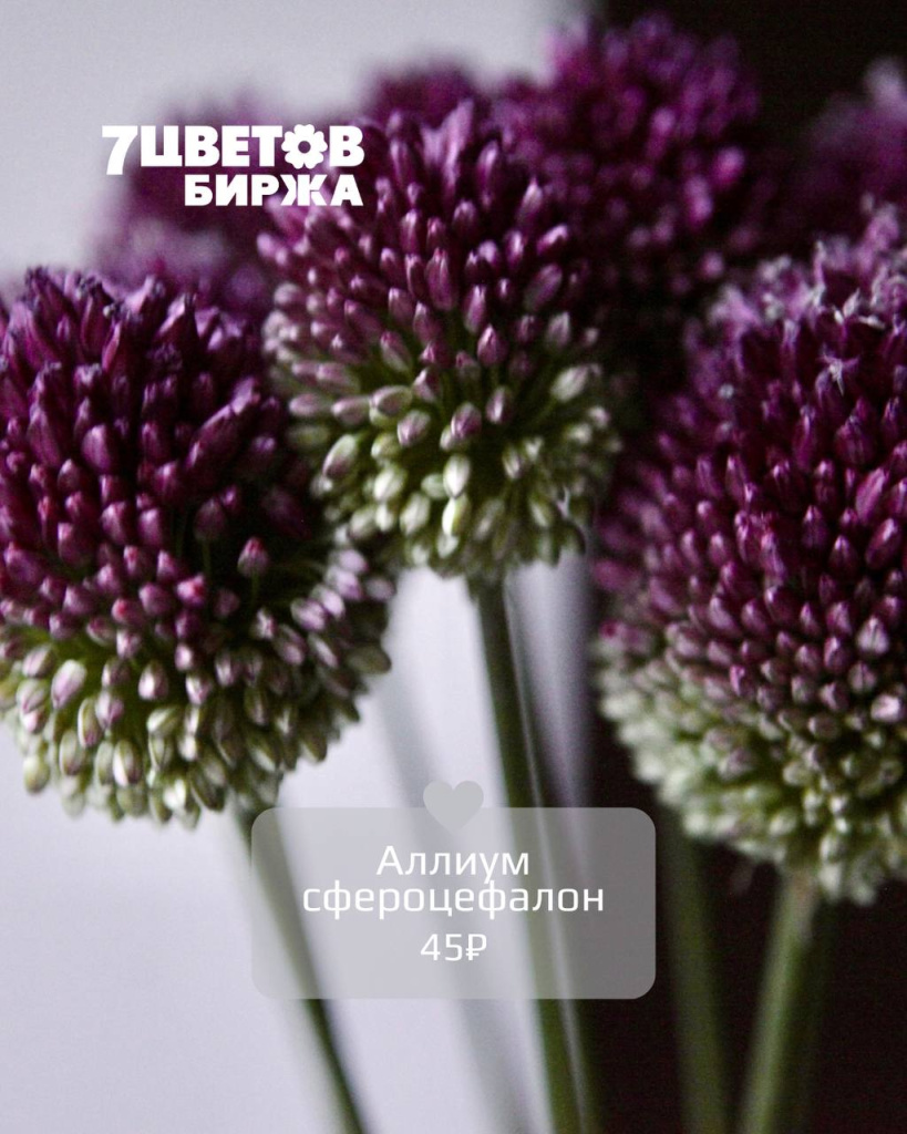 ТД0508_5.jpg ТД0508_5.jpg