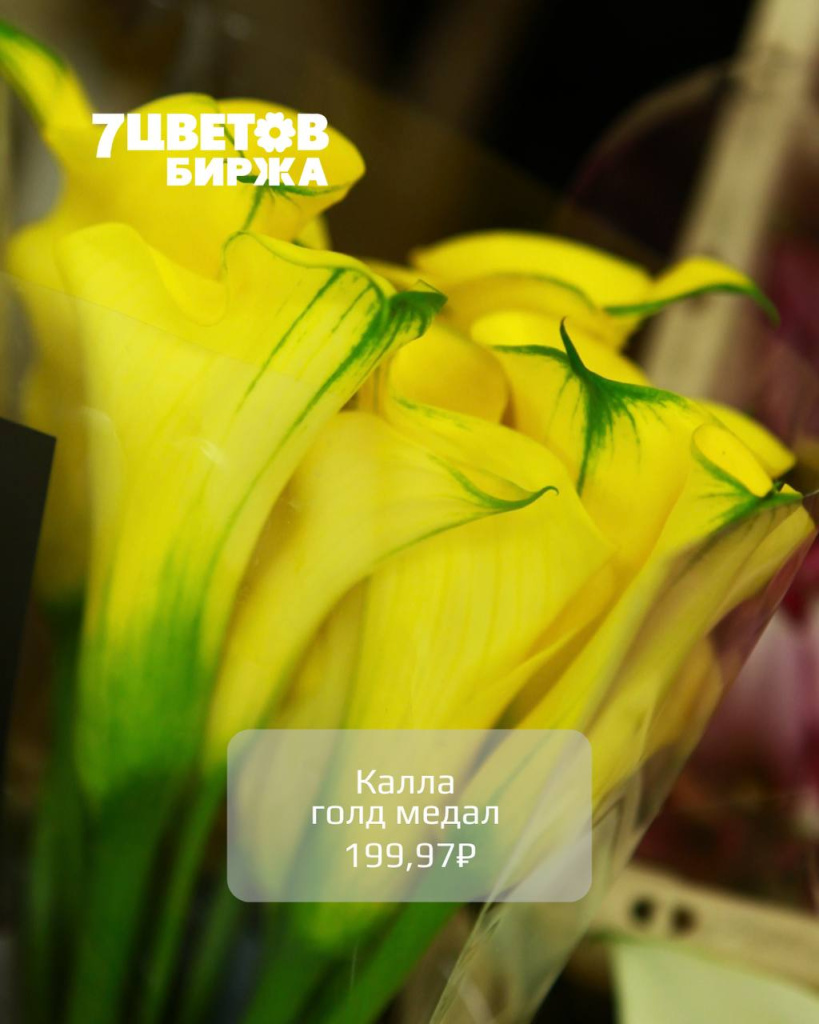 photo_2025-12-08_18-12-27 (2).jpg