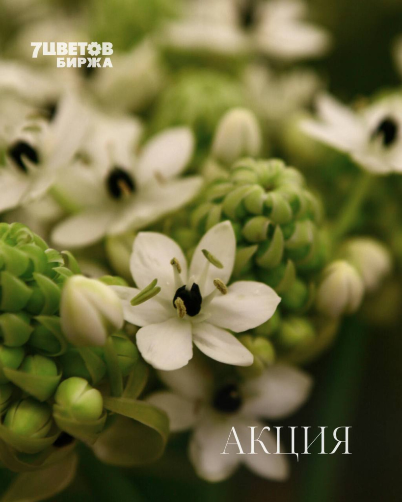 АКЦИИ на предстоящую пятницу 05.12 В БИРЖЕ!