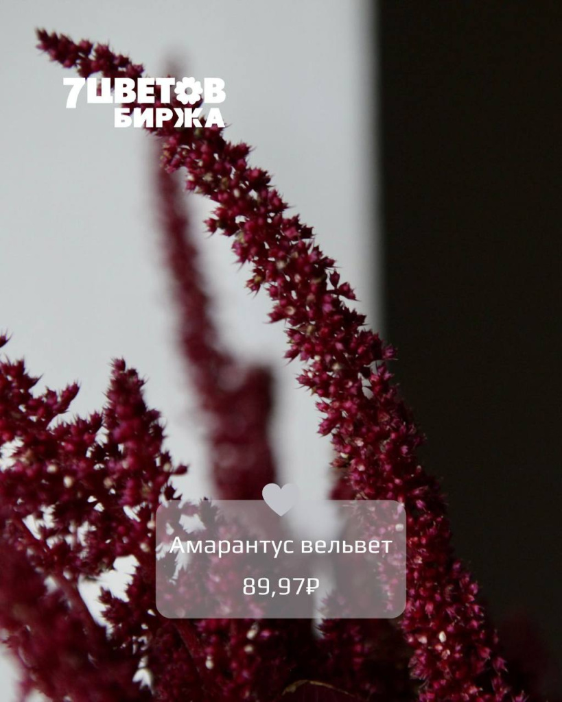 ТД1208_5.jpg ТД1208_5.jpg