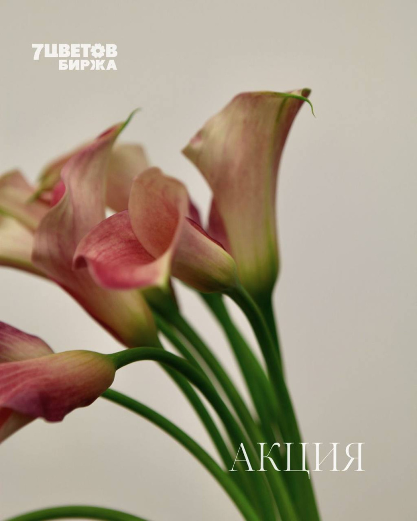 ШЕСТЬ самых выгодных позиций на предстоящий вторник 09.09 В БИРЖЕ!