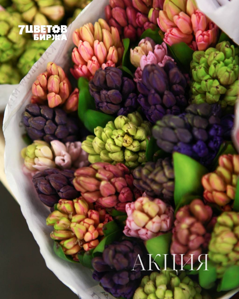 АКЦИИ на предстоящую пятницу 27.03 В БИРЖЕ!