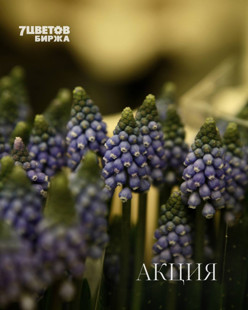 АКЦИИ на предстоящую пятницу 13.02 В БИРЖЕ!