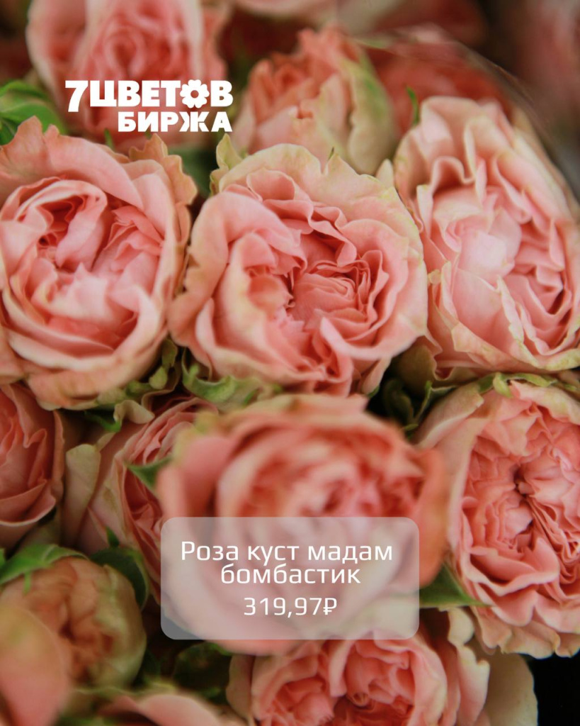 photo_2025-11-12_16-41-42 (2).jpg