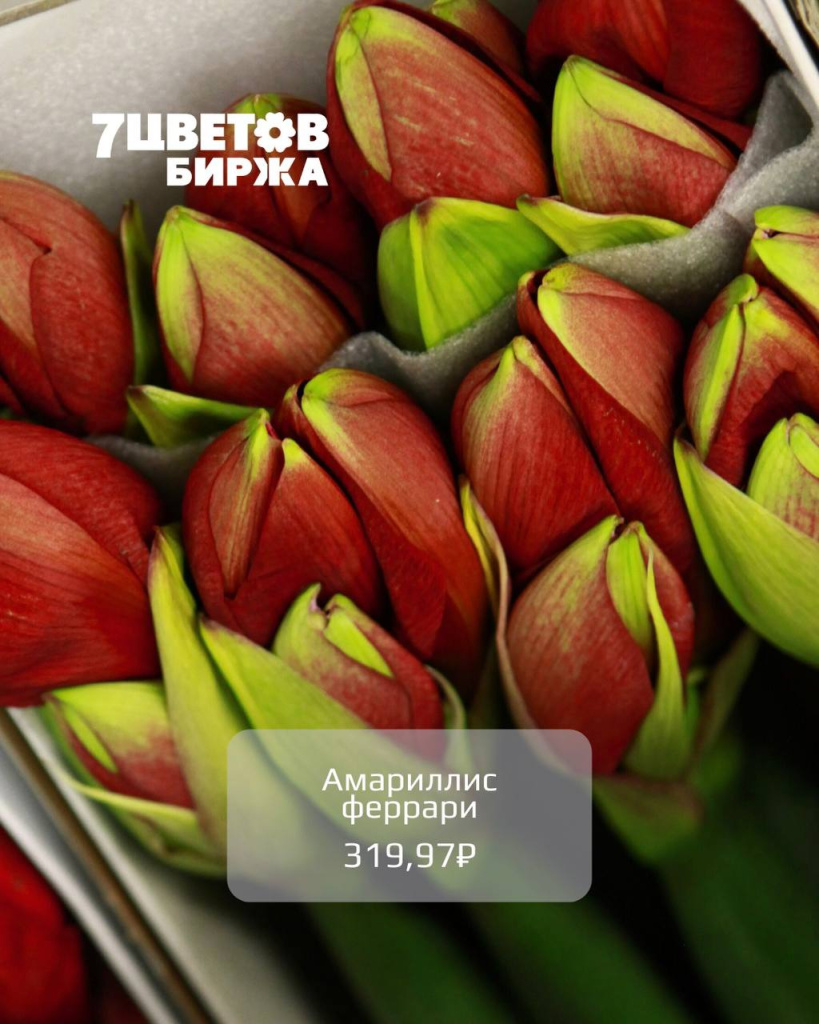 photo_2025-12-12_16-49-34 (2).jpg