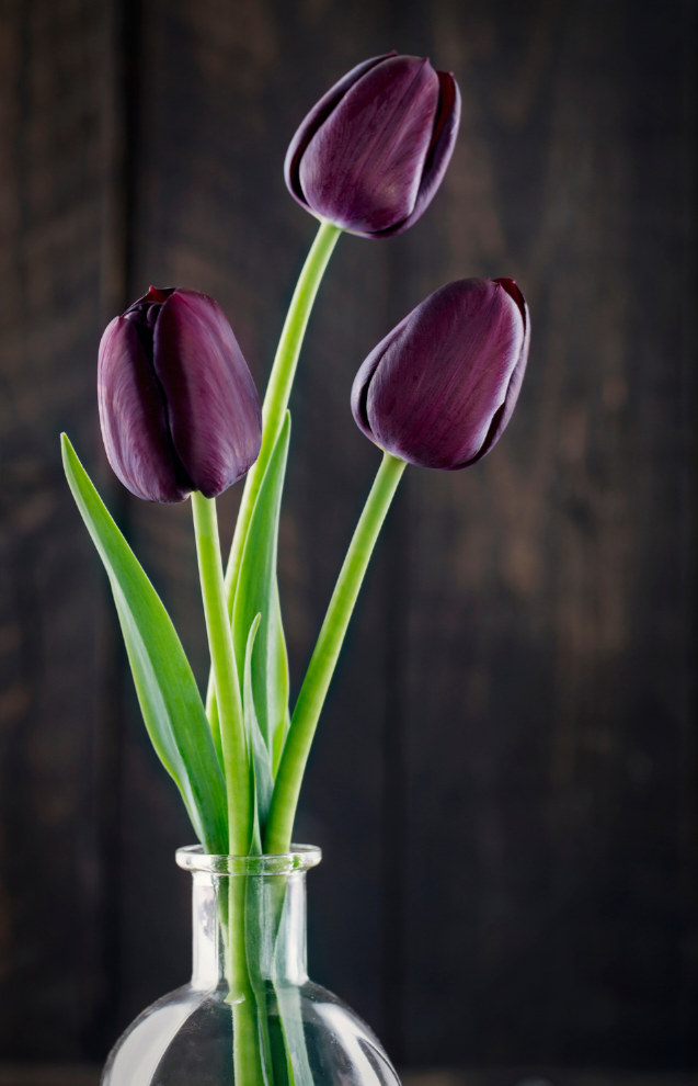 4 (576 x 330 пикс.)_20250610_152827_0000.png