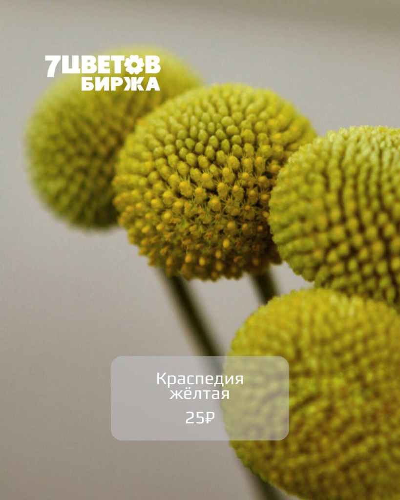 Тд1710_5.jpg Тд1710_5.jpg