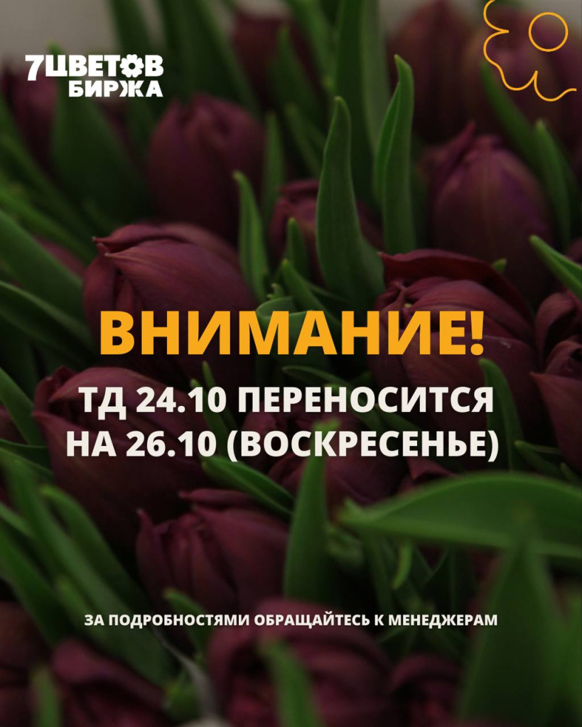 ТД 2410 перенос 2610.jpg