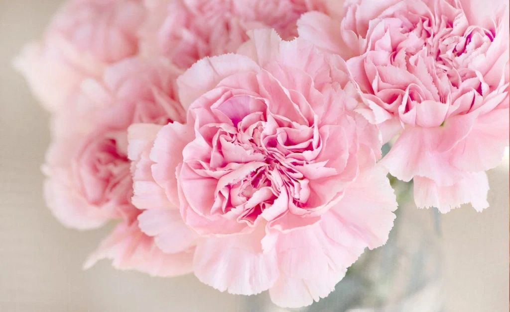 4 (576 x 330 пикс.)_20250611_111250_0000.png 4 (576 x 330 пикс.)_20250611_111250_0000.png