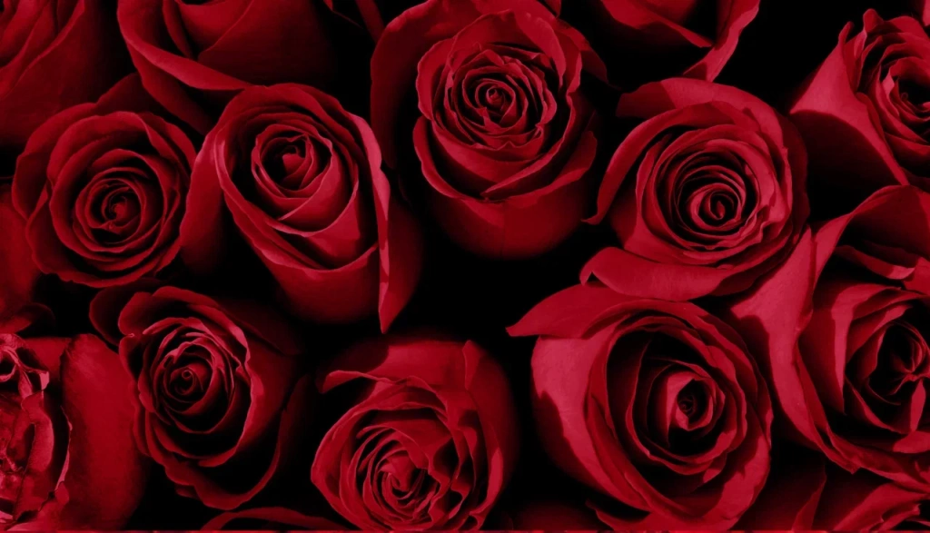 4 (576 x 330 пикс.)_20250611_134312_0000.png 4 (576 x 330 пикс.)_20250611_134312_0000.png