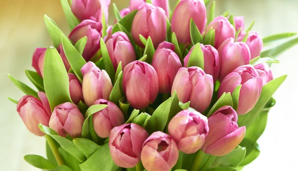 4 (576 x 330 пикс.)_20250611_125953_0000.png 4 (576 x 330 пикс.)_20250611_125953_0000.png