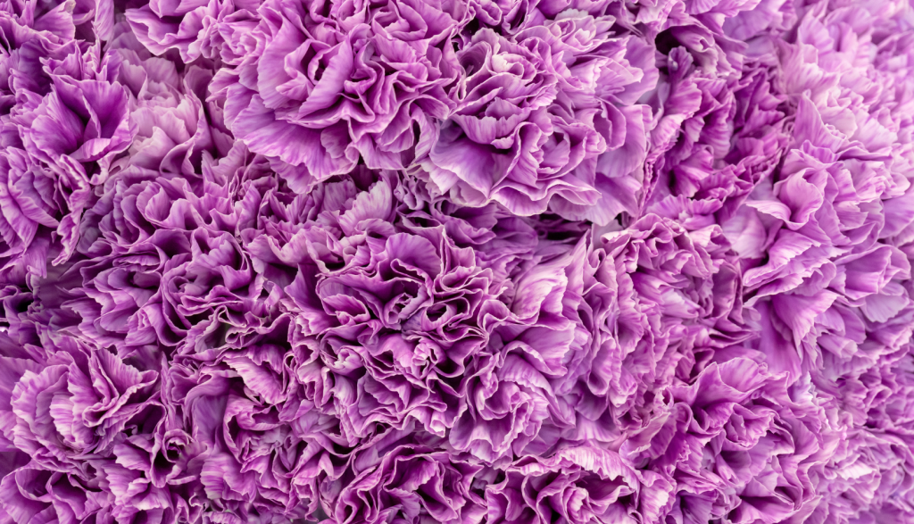 4 (576 x 330 пикс.)_20250610_153452_0000.png