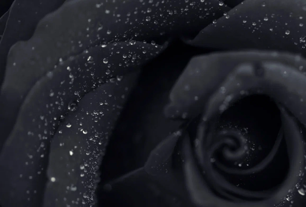 4 (576 x 330 пикс.)_20250610_120933_0000.png 4 (576 x 330 пикс.)_20250610_120933_0000.png