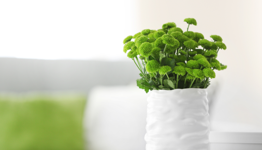 4 (576 x 330 пикс.)_20250611_101956_0000.png