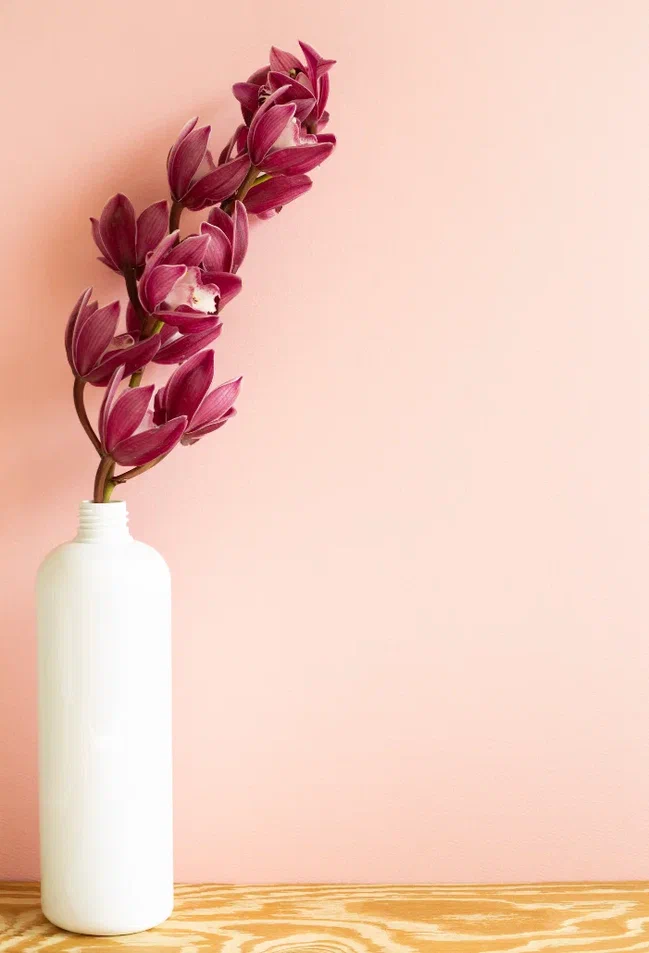 4 (576 x 330 пикс.)_20250611_122019_0000.png 4 (576 x 330 пикс.)_20250611_122019_0000.png