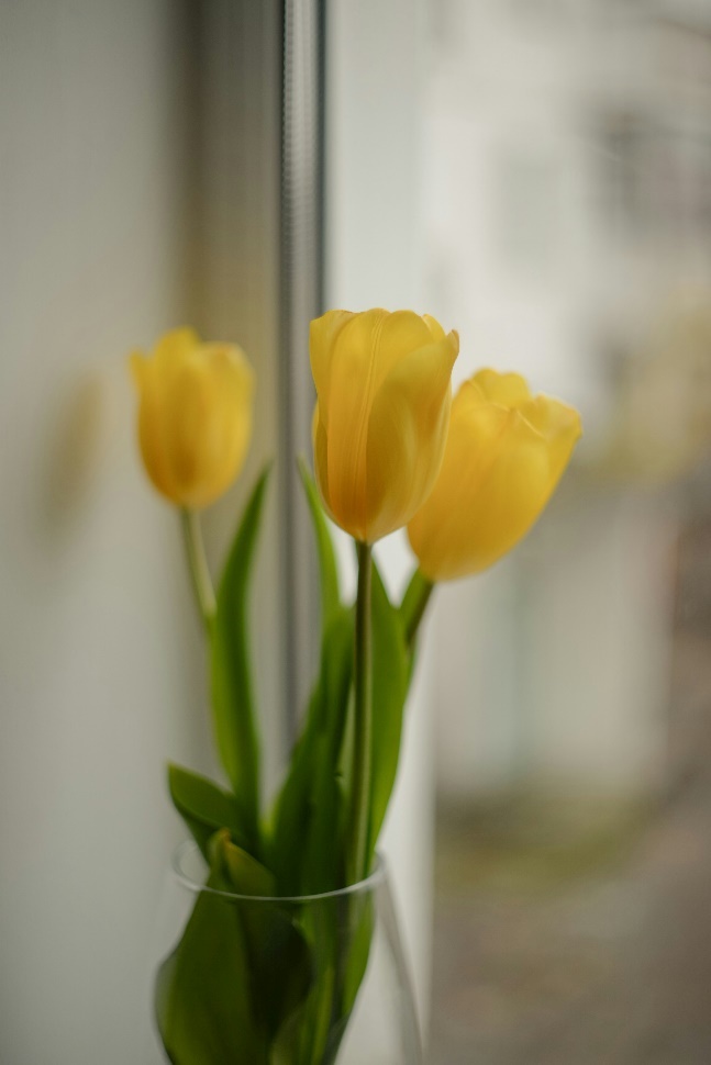 image3.jpg image3.jpg