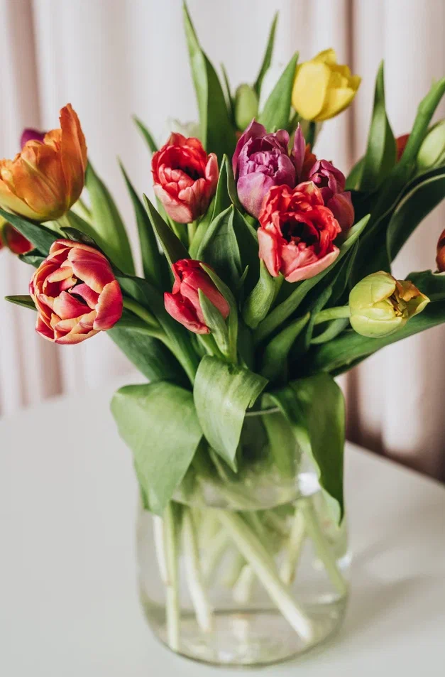 4 (576 x 330 пикс.)_20250610_144054_0000.png 4 (576 x 330 пикс.)_20250610_144054_0000.png