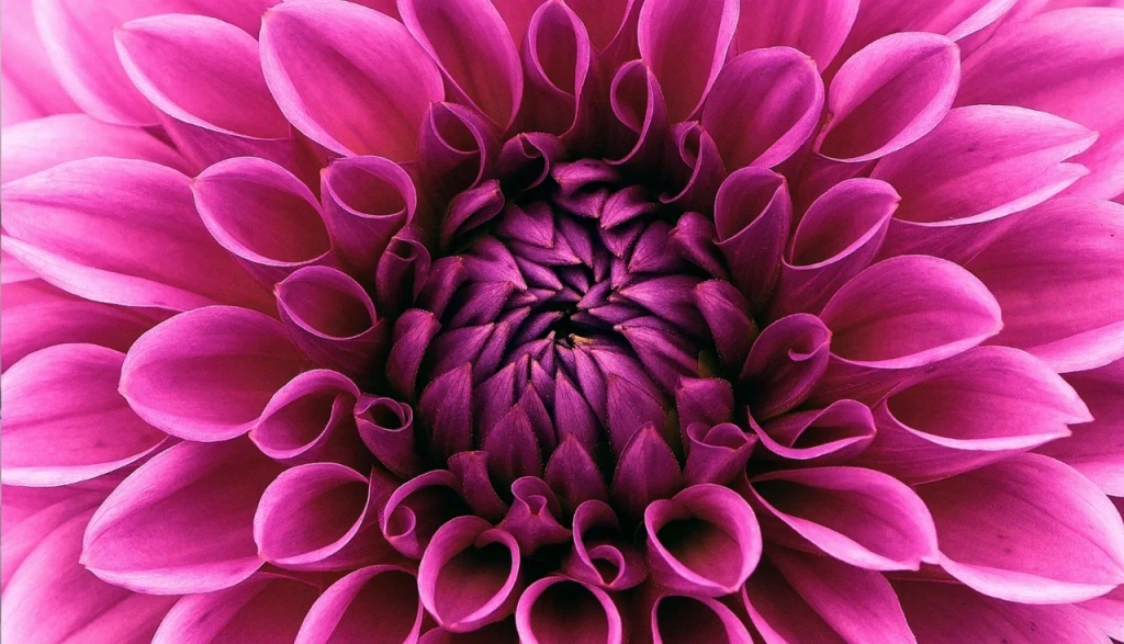 4 (576 x 330 пикс.)_20250610_150458_0000.png 4 (576 x 330 пикс.)_20250610_150458_0000.png