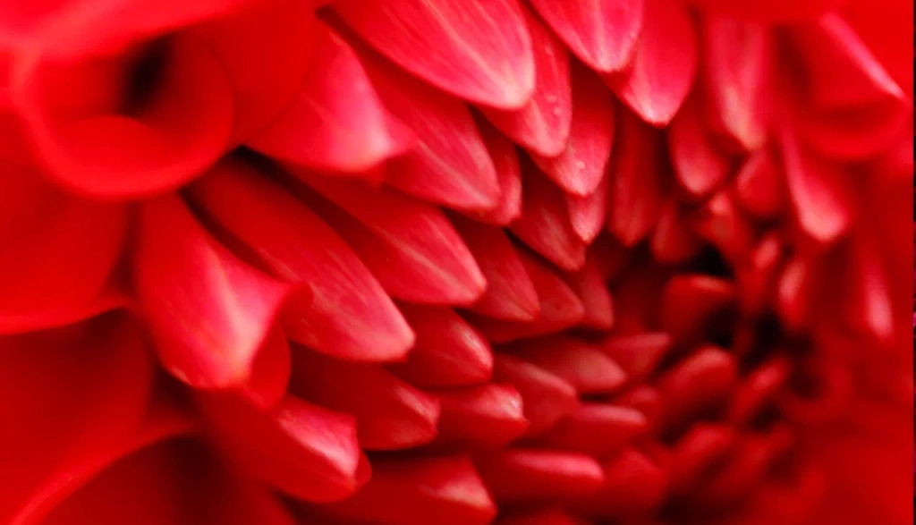 4 (576 x 330 пикс.)_20250611_134033_0000.png 4 (576 x 330 пикс.)_20250611_134033_0000.png