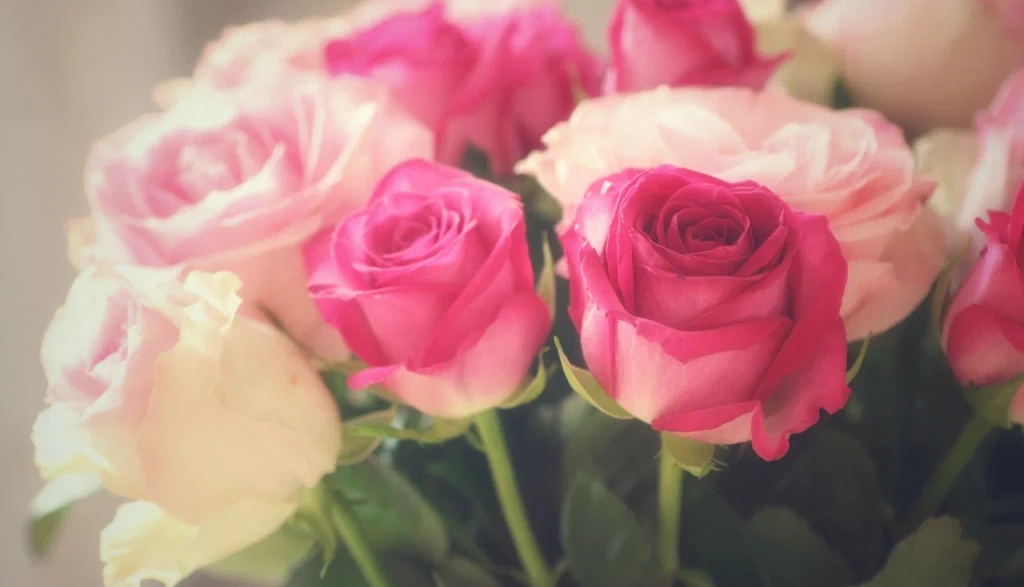 4 (576 x 330 пикс.)_20250611_110450_0000.png 4 (576 x 330 пикс.)_20250611_110450_0000.png