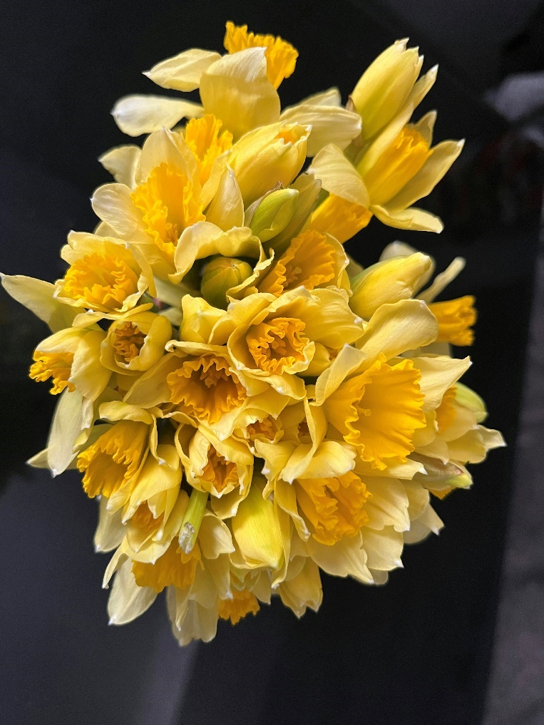 image20.jpg image20.jpg