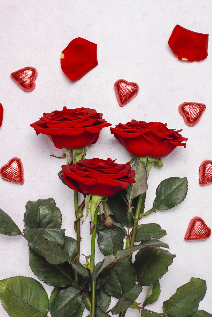 valentines-day-card-with-roses.jpg valentines-day-card-with-roses.jpg