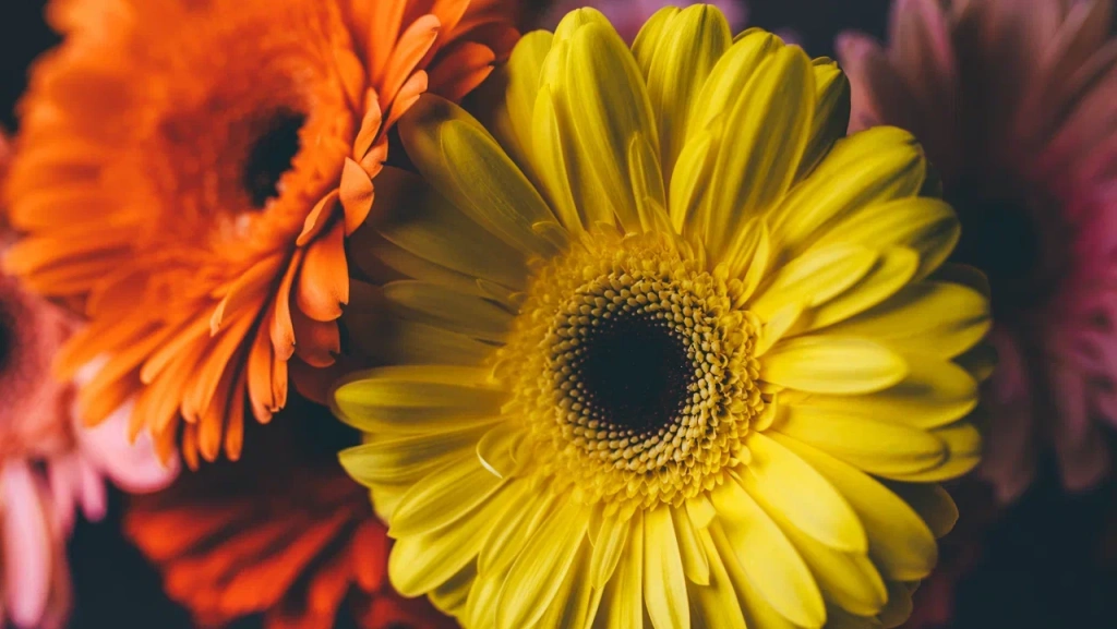 Дизайн_без_названия,_копия_20250605_161059_0000.png Дизайн_без_названия,_копия_20250605_161059_0000.png