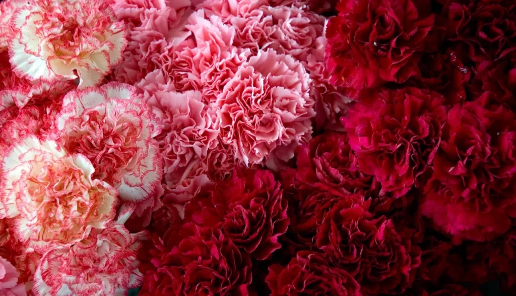 4 (576 x 330 пикс.)_20250610_121644_0000.png 4 (576 x 330 пикс.)_20250610_121644_0000.png