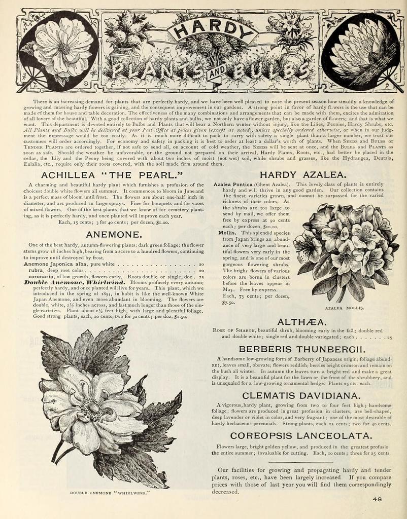 image7.jpg image7.jpg